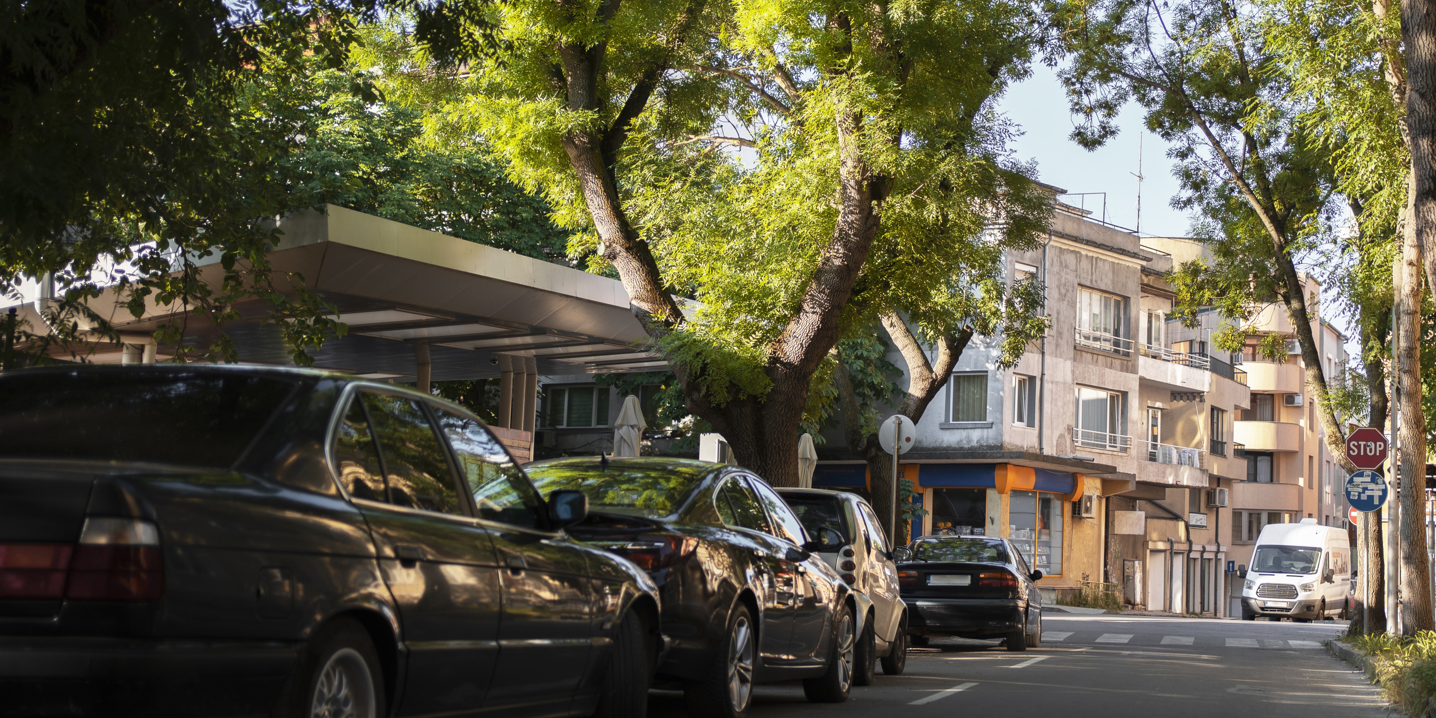 Como a seiva de árvores pode prejudicar a pintura do carro